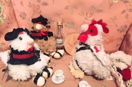 Gallina poeta y gallo entrevistador conversando con tazas de té